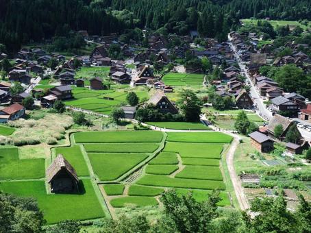 夏の白川郷 夏の白川郷の写真