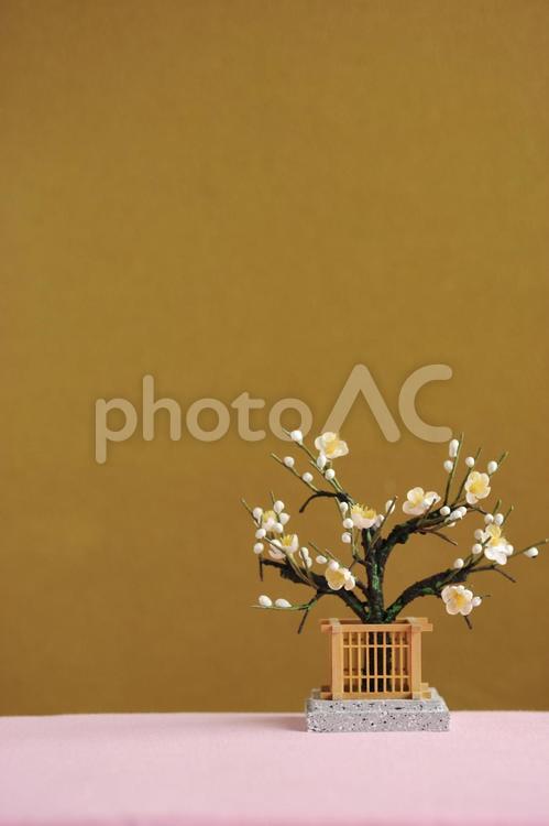 白梅の置物 雛祭り,桃の節句,３月の写真素材