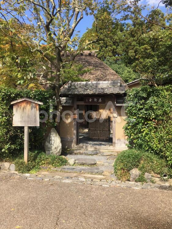 京都嵯峨野の秋 京都,嵐山,嵯峨野の写真素材