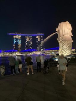 夜のマーライオン シンガポール,マーライオン,マリーナベイの写真素材