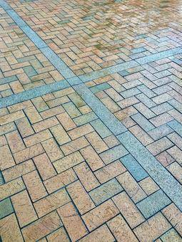 雨上がりのレンガ道 レンガ,舗道,歩道の写真素材
