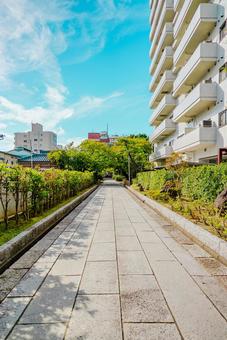 【新潟】新潟駅周辺の街並み 【新潟】新潟駅周辺の街並みの写真