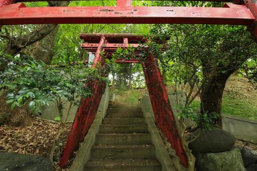 八幡浜市　愛宕山王照院　鳥居と遊歩道 愛宕山王照院,愛宕山,神社の写真素材