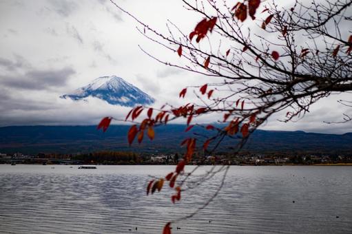 富士山と河口湖と紅葉 富士山と河口湖と紅葉の写真