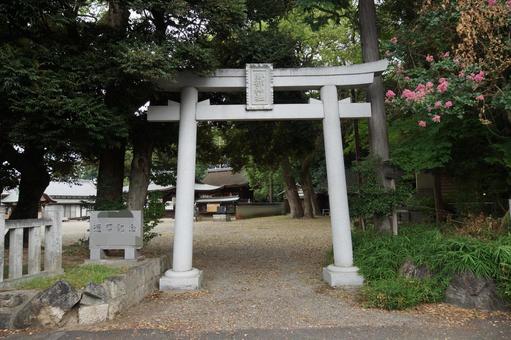 パワースポット 滋賀県 勝部神社① 鳥居 パワースポット 滋賀県 勝部神社① 鳥居の写真