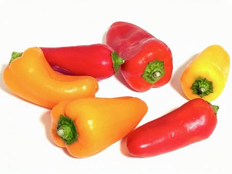 色鮮やかなミニパプリカ 色鮮やかなミニパプリカ パプリカ,ミニパプリカ,野菜の写真素材