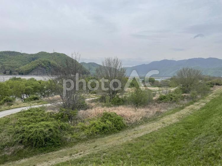 河川敷（岡山県吉井川） 河川敷,岡山,吉井川の写真素材