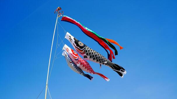 青空にたなびく鯉のぼり 鯉のぼり,たなびく,節句の写真素材