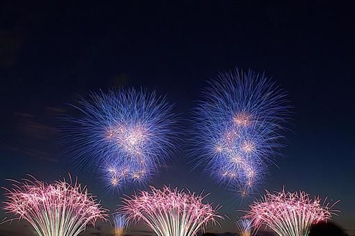 25年長岡まつり　花火 夜,夜空,花火の写真素材