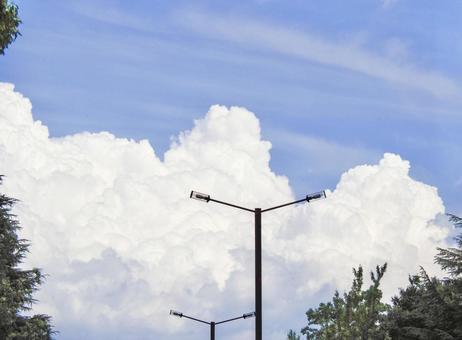 夏空 夏空の写真