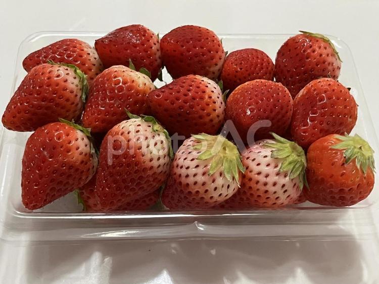 いちご　いちごさん いちご,strawberry,ストロベリーの写真素材