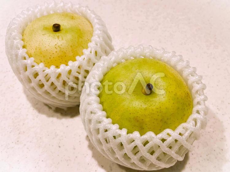 鳥取県産の二十世紀梨１３ 梨,二十世紀,鳥取県産の写真素材