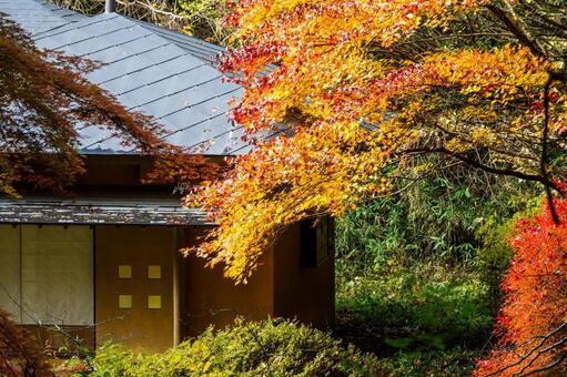 黄金山神社⑾ 神社,黄金山神社,神社仏閣の写真素材