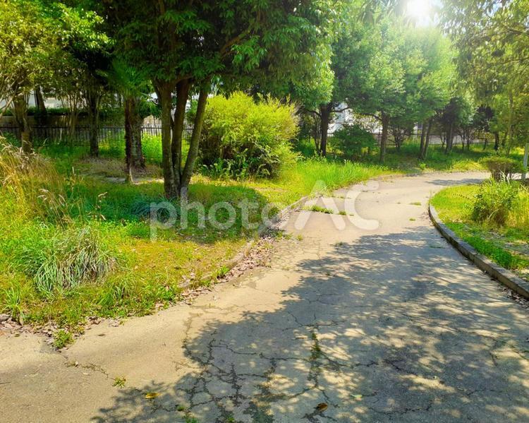 ウオーキングコース　風景 ウオーキング,公園,風景の写真素材