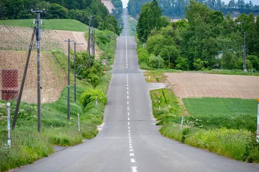 ジェットコースターの路 ジェットコースターの路の写真