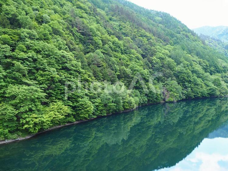 水面に映る美しい木々 自然,ナチュラル,癒しの写真素材