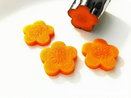 Photo, carrot flower, carrot, decoration, 