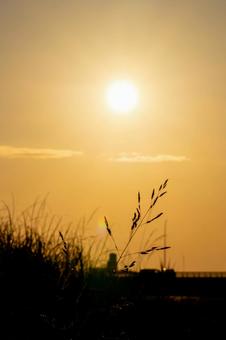 Sunset, JPG
