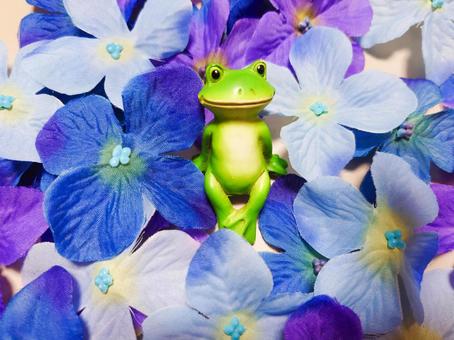 紫陽花とカエル 紫陽花とカエル 紫陽花,あじさい,カエルの写真素材