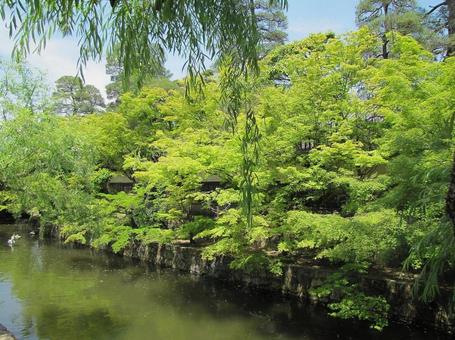 【風景写真】倉敷の風景 【風景写真】倉敷の風景の写真