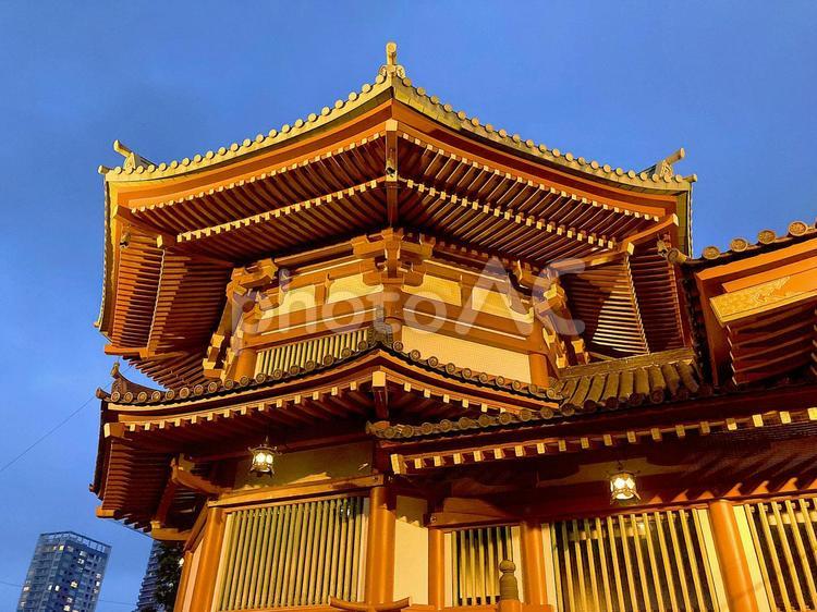 東京風景・上野公園 上野公園,上野恩賜公園,不忍池の写真素材