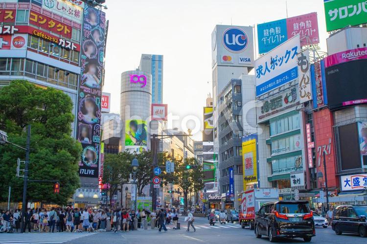夕方の渋谷スクランブル交差点 渋谷,東京,夏休みの写真素材