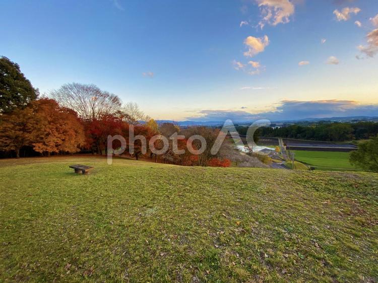  深紅のモミジの森がある丘の風景 深紅,紅葉,紅葉狩りの写真素材
