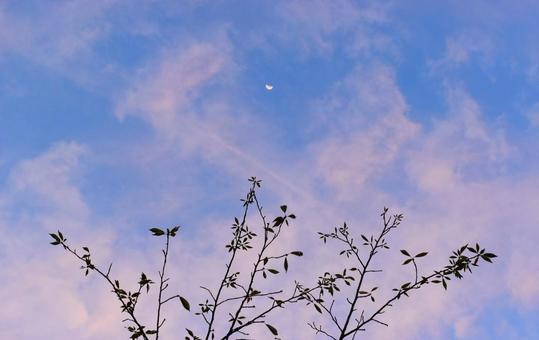 早朝の月と淡い空 早朝の月と淡い空の写真