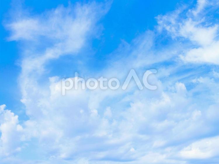 美しい秋の青空 空,青空,雲の写真素材