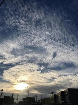 夕日 夕日の写真