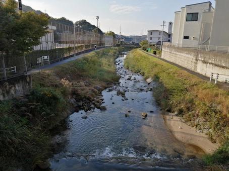 小川 川,小魚,せせらぎの写真素材