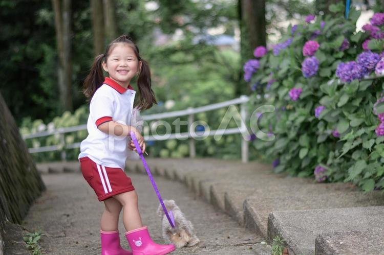 犬のぬいぐるみと女の子 ぬいぐるみ,紫陽花,子供の写真素材