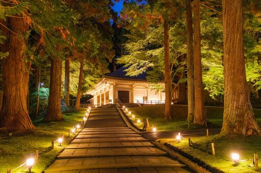 岩手県平泉町 中尊寺金色堂 ライトアップ 中尊寺,金色堂,ライトアップの写真素材