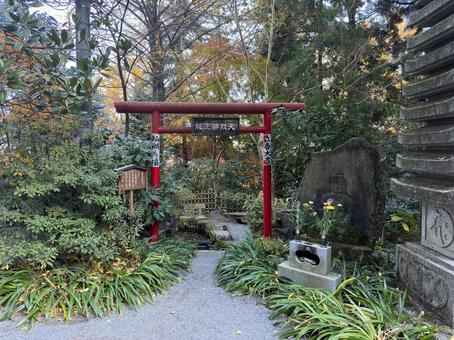 水澤観世音 水澤観世音 水澤観世音,水澤寺,石段の写真素材