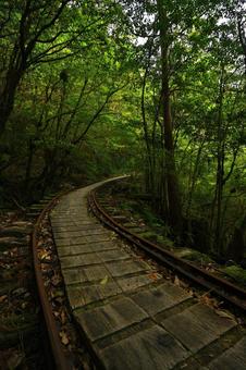 Photo, trucko road, yakushima, curve, 