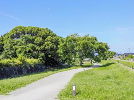 萩城下町の風景 萩城下町の風景 萩市,萩城下町,城下町の写真素材