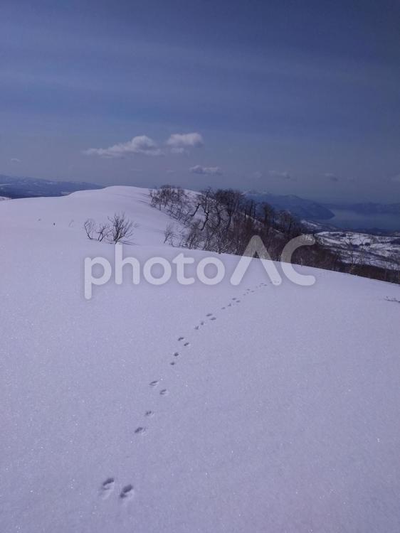 うさぎのあしあと　雪景色 空,風景,雪景色の写真素材
