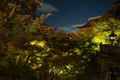 紅葉　京都　清水寺 紅葉,京都,清水寺の写真素材