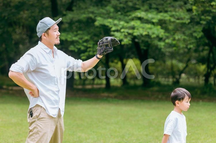 公園で野球・キャッチボールする子供とパパ キャッチボール,パパ,野球の写真素材