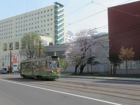 リバイバルカラー243と桜 リバイバルカラー243と桜 朝,街並み,札幌市電の写真素材