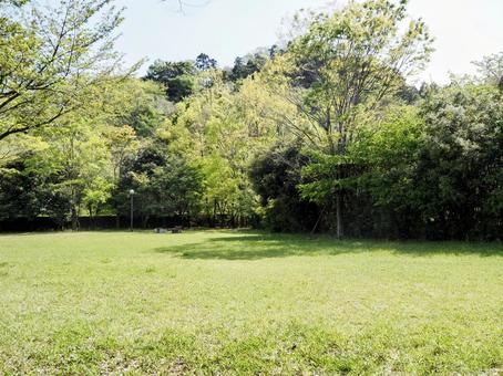 春のふじだな公園・新緑の広場と森・厚木市 春のふじだな公園・新緑の広場と森・厚木市 春,ふじだな公園,芝生の写真素材