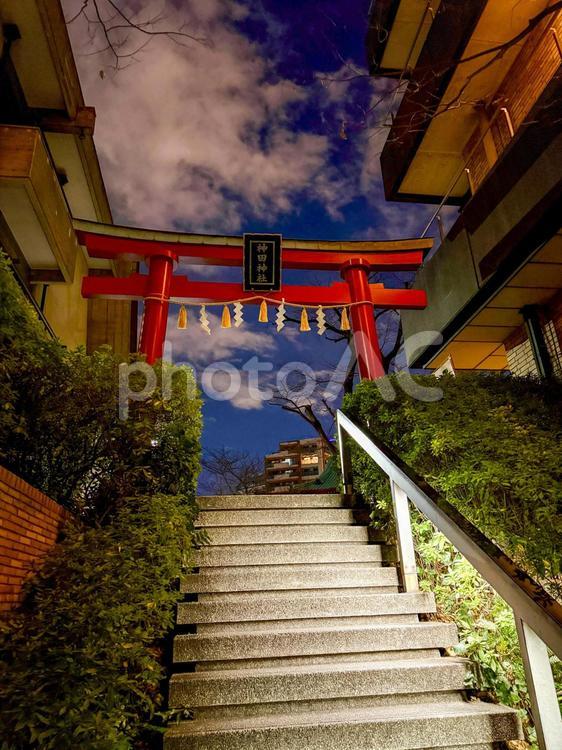 神田明神　夜の裏参道 夜,夜景,裏参道の写真素材