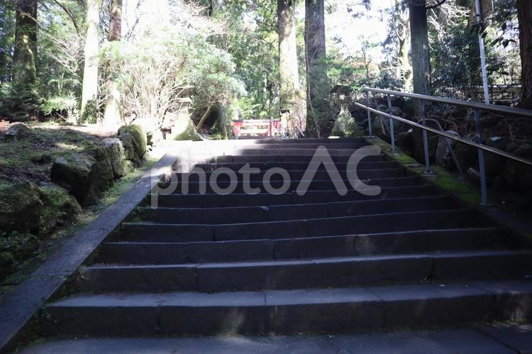 神社への階段 階段,ハイキング,苔の写真素材