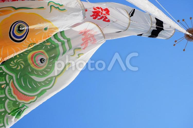 鯉のぼりと青空 鯉のぼり,青空,5月5日の写真素材