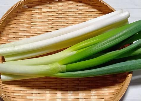 長ネギの写真