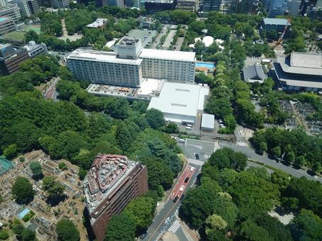 東京タワーから見た景色 東京タワーから見た景色 街並み,東京,自然の写真素材