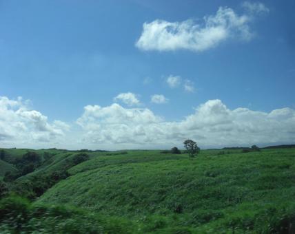 草原ボケ背景-52 草原ボケ背景-52の写真