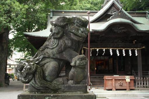 神社を背景にした苔の生えた狛犬 神社を背景にした苔の生えた狛犬の写真