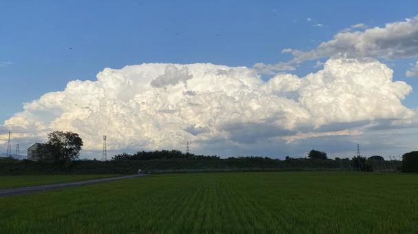 積乱雲 積乱雲 夏の空,夏,入道雲の写真素材