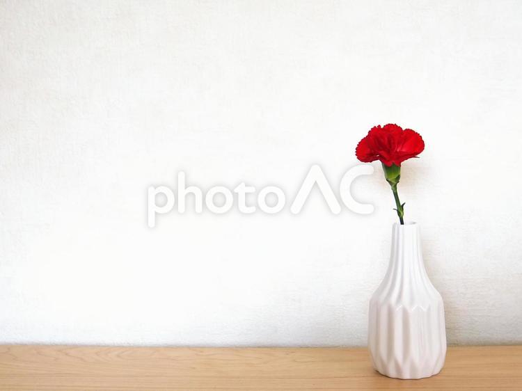 一輪のカーネーションと花瓶 カーネーション,花,母の日の写真素材